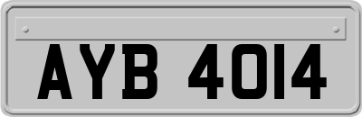 AYB4014