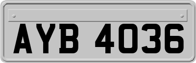 AYB4036
