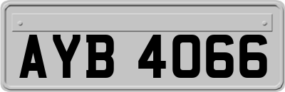AYB4066