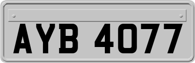 AYB4077