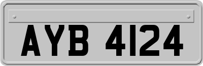AYB4124