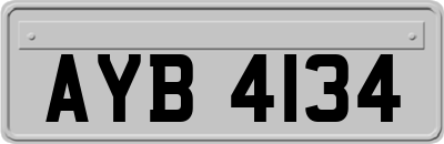AYB4134