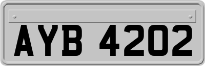 AYB4202