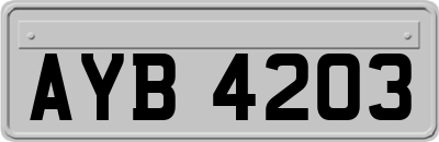 AYB4203