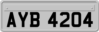 AYB4204