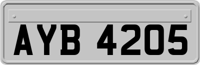 AYB4205
