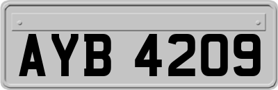 AYB4209