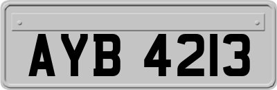 AYB4213