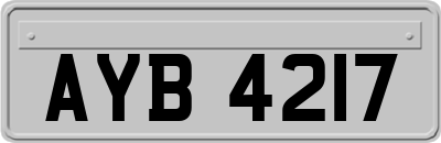 AYB4217