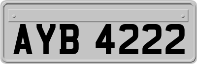AYB4222
