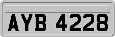 AYB4228