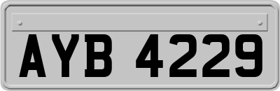 AYB4229
