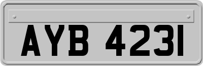 AYB4231