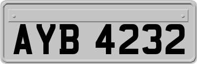 AYB4232