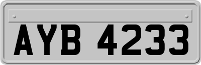AYB4233