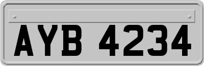 AYB4234