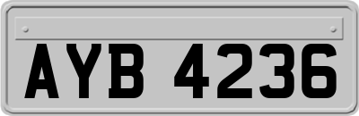 AYB4236