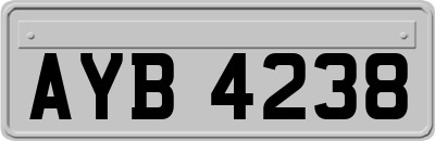 AYB4238