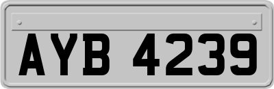 AYB4239