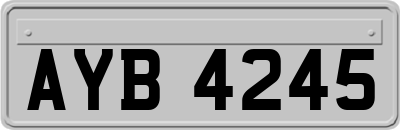 AYB4245