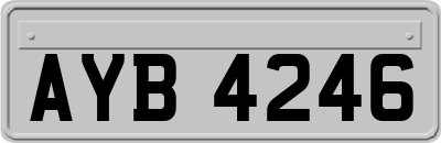 AYB4246