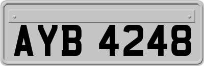 AYB4248