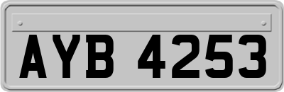 AYB4253