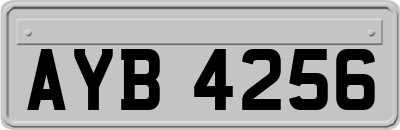 AYB4256