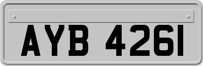 AYB4261