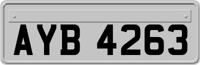 AYB4263