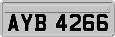 AYB4266
