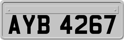 AYB4267