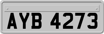 AYB4273