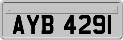 AYB4291
