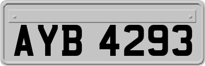 AYB4293