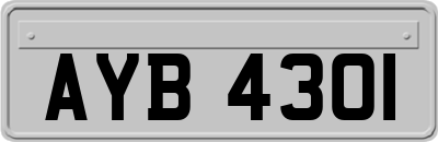 AYB4301