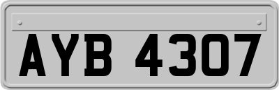 AYB4307