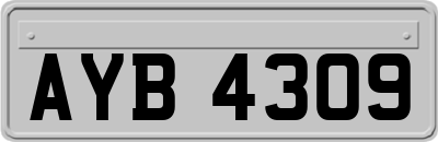 AYB4309