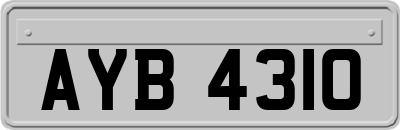 AYB4310