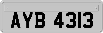 AYB4313