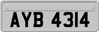 AYB4314
