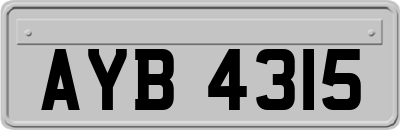 AYB4315