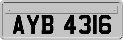 AYB4316