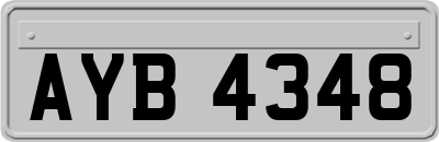 AYB4348