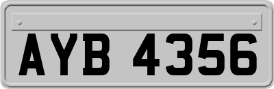AYB4356