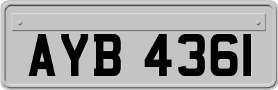 AYB4361