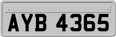 AYB4365