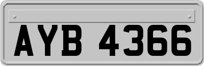 AYB4366