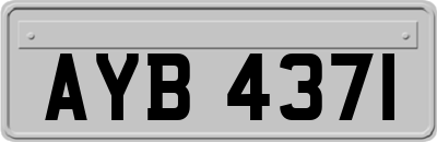 AYB4371