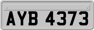 AYB4373